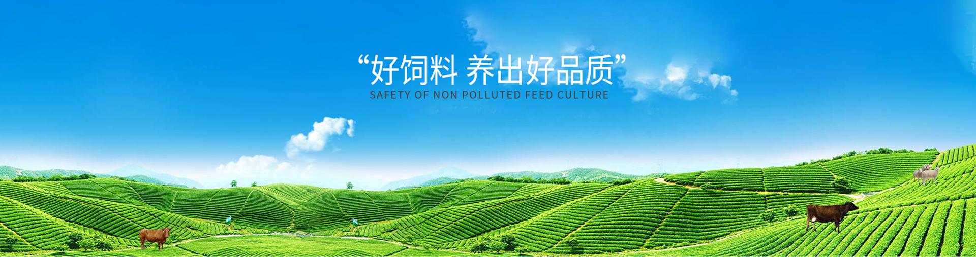廣告標題
